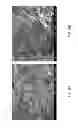 Fig. 27 - METALLIC COMPOSITE PHASE-CHANGE MATERIALS AND METHODS OF USING THE SAME