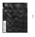 Fig. 06 - Method for in-situ dry cleaning, passivation and functionalization of Si—Ge semiconductor surfaces