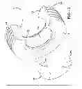 Fig. 02 - VEIN PUMP ASSEMBLY FOR AIR MAINTENANCE TIRE