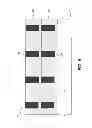 Fig. 09 - IMPRINTED MICRO-LOUVER STRUCTURE METHOD