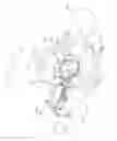 Fig. 22 - METHODS FOR TRANSFERRING DISCRETE ARTICLES ONTO A WEB