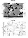 Fig. 10 - WIRING BOARD AND METHOD FOR MANUFACTURING THE SAME