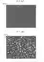 Fig. 12 - WIRING BOARD AND METHOD FOR MANUFACTURING THE SAME