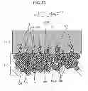 Fig. 21 - WIRING BOARD AND METHOD FOR MANUFACTURING THE SAME