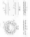 Fig. 07 - System and method for steering in a downhole environment using vibration modulation