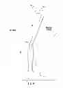 Fig. 09 - LAWN CARE VEHICLE ADJUSTABLE STEERING ASSEMBLY