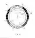 Fig. 07 - Wet friction plate