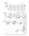Fig. 03 - Integrated affinity microcolumns and affinity capillary electrophoresis