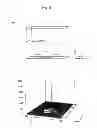 Fig. 06 - METHOD AND DEVICE FOR OPTICAL ANALYSIS OF BIOPOLYMER
