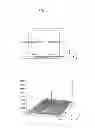 Fig. 07 - METHOD AND DEVICE FOR OPTICAL ANALYSIS OF BIOPOLYMER