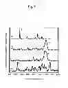 Fig. 08 - METHOD AND DEVICE FOR OPTICAL ANALYSIS OF BIOPOLYMER