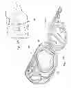 Fig. 12 - Packaging for Catheter Treatment Devices and Associated Devices, Systems, and Methods