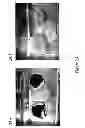 Fig. 25 - COMPOSITIONS AND METHODS FOR OIL SPILL REMEDIATION