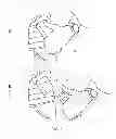Fig. 02 - Magazine carrier