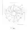 Fig. 08 - Container usable as a deep bottom and shallow bottom type container, and manufacturing method thereof