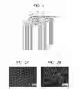 Fig. 02 - Scintillator having a phase separation structure and radiation detector using the same