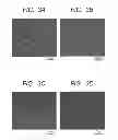 Fig. 03 - Scintillator having a phase separation structure and radiation detector using the same