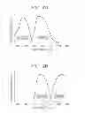 Fig. 04 - Scintillator having a phase separation structure and radiation detector using the same
