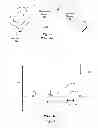 Fig. 02 - Apparatus for treating ion beam