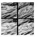 Fig. 02 - Movement-free bending method for one-dimensional or two-dimensional nanostructure using ion beam