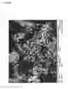 Fig. 09 - Method for producing a carbon-coated lithium sulfide and use thereof