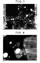 Fig. 07 - Negative-electrode active material, and method for production of negative-electrode active material