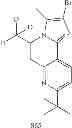 Fig. 263 - Platinum metal complexes with divalent groups bridging two ligands