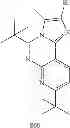 Fig. 271 - Platinum metal complexes with divalent groups bridging two ligands