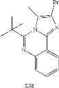 Fig. 303 - Platinum metal complexes with divalent groups bridging two ligands