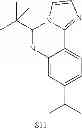 Fig. 89 - Platinum metal complexes with divalent groups bridging two ligands