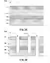 Fig. 04 - Damascene gap structure
