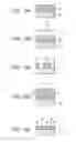 Fig. 15 - Imprint apparatus and imprint method