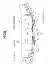 Fig. 08 - Head protection device and guiding bracket