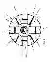Fig. 06 - Brushless DC motor with permanent magnet rotor