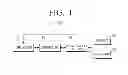 Fig. 02 - ELECTRONIC APPARATUS AND METHOD OF CONTROLLING THE SAME