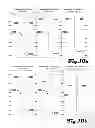 Fig. 11 - System and method for deep detection of petroleum and hydrocarbon deposits