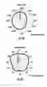 Fig. 43 - Multiband antenna assemblies including helical and linear radiating elements