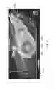 Fig. 04 - Borehole and well data visualization