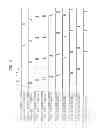 Fig. 07 - APPARATUS AND METHOD FOR BUFFERING SIGNAL DELAY BETWEEN DISPLAY DEVICE IN MULTI-DISPLAY ENVIRONMENT