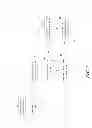 Fig. 04 - Light box effect for viewing digital radiographic images