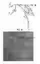 Fig. 06 - Automatic identification of a tool