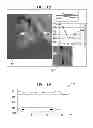Fig. 12 - Automatic identification of a tool