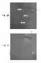 Fig. 13 - Automatic identification of a tool