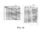 Fig. 13 - DISPLAY DRIVING CIRCUIT AND DISPLAY DRIVING SYSTEM