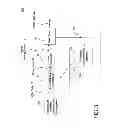 Fig. 04 - SYSTEM AND METHOD FOR COMPENSATION OF NON-UNIFORMITIES IN LIGHT EMITTING DEVICE DISPLAYS