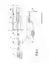 Fig. 05 - SYSTEM AND METHOD FOR COMPENSATION OF NON-UNIFORMITIES IN LIGHT EMITTING DEVICE DISPLAYS