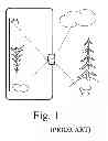 Fig. 02 - Mobile communicator with curved sensor camera