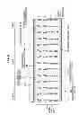Fig. 03 - Liquid crystal display device and method of manufacturing the same
