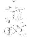 Fig. 06 - Liquid crystal display device and method of manufacturing the same
