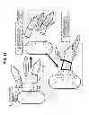 Fig. 13 - Liquid crystal display device and method of manufacturing the same